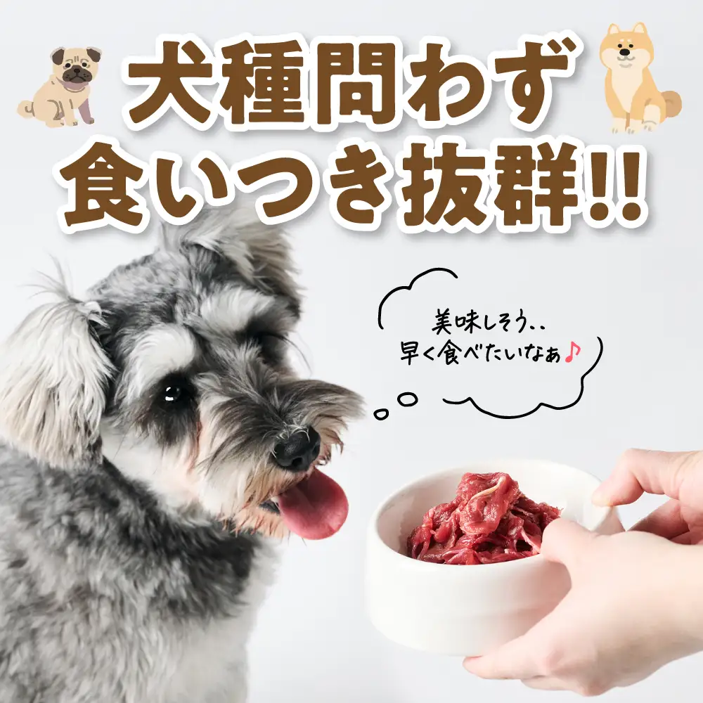 ペット用 馬肉切り落とし2kg 馬肉 ペットフード 愛犬 ドッグフード おやつ 食事 ごはん