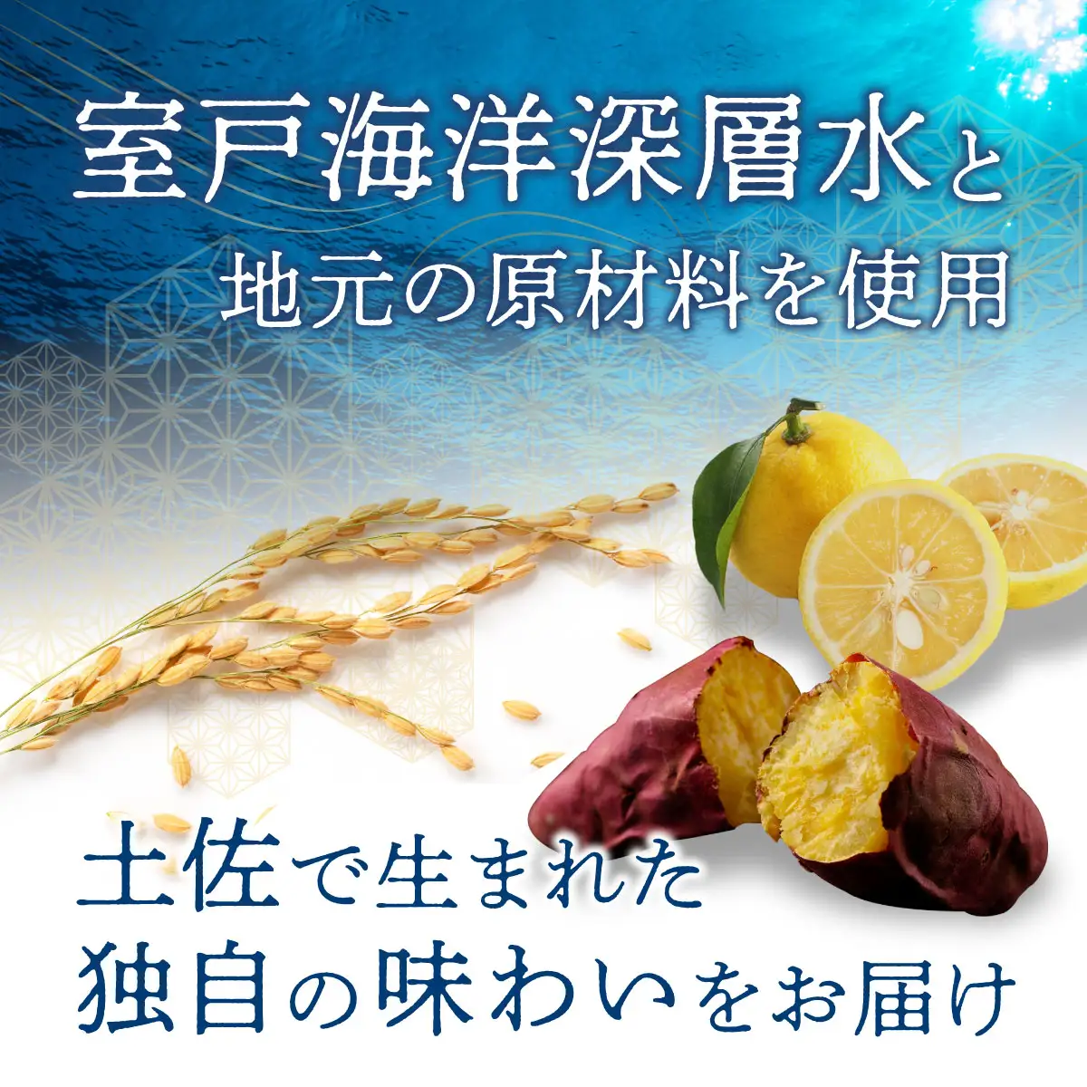 土佐の宴会 お試し詰め合わせセット 合計6本入り 日本酒 米焼酎 リキュール 米 ゆず ぽんかん 720ml×4本 500ml×2本 お酒 アルコール 室戸海洋深層水 高知県 室戸市 送料無料