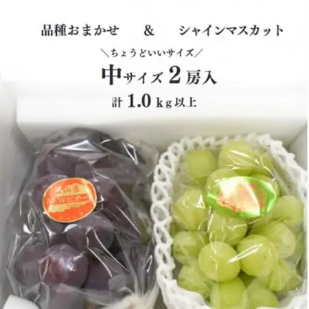 シャインマスカット＆生産者いちおし葡萄 2房入/計1.0kg～(岡山県産) おすすめ食べ比べセット!【配送不可地域：離島・北海道・沖縄県】【1553222】