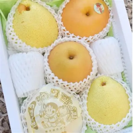 【2026年発送】上級品 5-7玉 梨好きのための、梨2-3種の食べ比べセット! (岡山県産)【1559796】