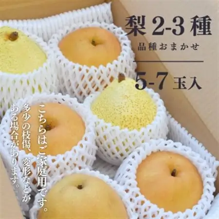【2026年発送】ご家庭用 5-7玉 梨好きのための梨2-3品種食べ比べ (岡山県産)【1559803】
