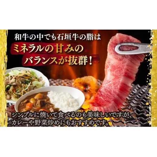 切り落とし焼肉用300g×3パック&石垣牛 MARU秘伝の焼肉タレ100ml×1本 　IM-39