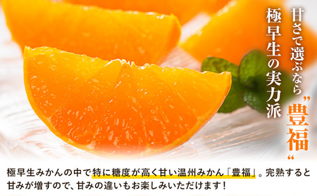 【先行予約】訳あり みかん 極早生みかん 豊福 10kg