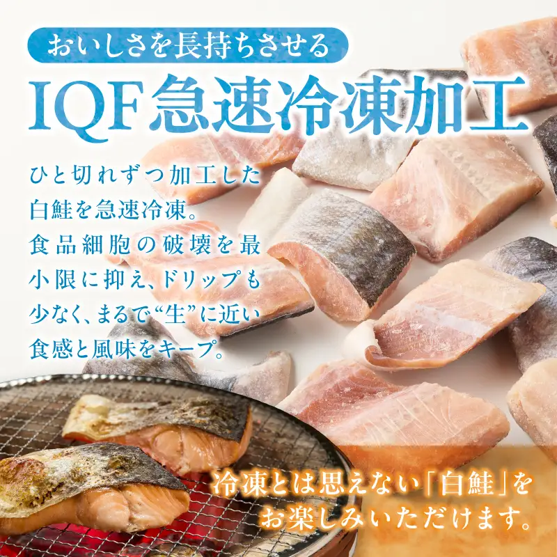 【ふるなびWEEK対象】訳あり！天然 白鮭 甘口 切身 約1.5kg バラ凍結 大袋ジッパー (a10-1177d)
