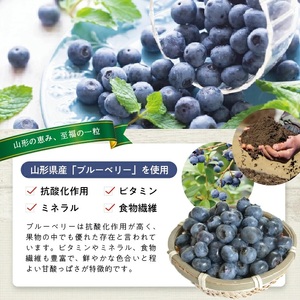 冷凍ブルーベリー1.0kg(500g×2袋) 山形県産 冷凍便 ※離島発送不可 冷凍 冷凍フルーツ ブルーベリー フルーツ ジャム ジュース スムージー 小分け お菓子作り ゆざ食彩工房 遊佐町 庄内 東北 [1430BB1000G]
