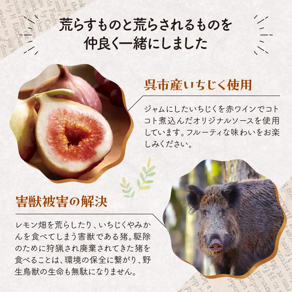 猪肉ハンバーグ赤ワインいちじくソース(2個) ジビエ 煮込みハンバーグ