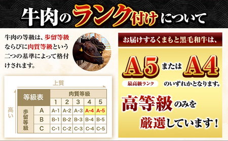 黒毛和牛 サーロイン リブロース 内モモ 500g  牛肉 《7-14日以内に出荷予定(土日祝除く)》
