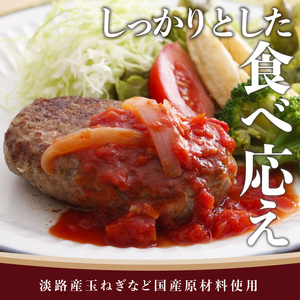 五つ星ひょうご認定特製神戸ビーフハンバーグセット(100g×5個入り)《 ハンバーグ 職人 鉄板焼 特上ハンバーグ 惣菜 送料無料 小分け 簡単調理 こだわり プレゼント お取り寄せ おすすめ 》【2401I00601】