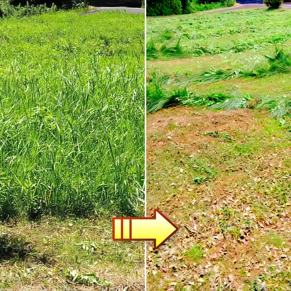 草刈り・墓地清掃・遺品整理等の代行チケット10，000円分《壱岐市》【便利屋とこしえ】[JGX002]
