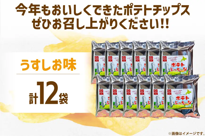 【期間限定発送】 ポテトチップス うすしお 100g 12袋入 ポテトぷっちーな