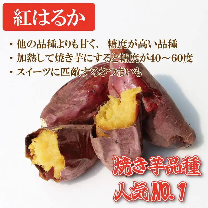 冷凍 焼き芋 紅はるか（1,000g）五時の芋 やきいも 甘い スイーツ ホクホク イモ 冷やしても美味しい 熟成　B110-028