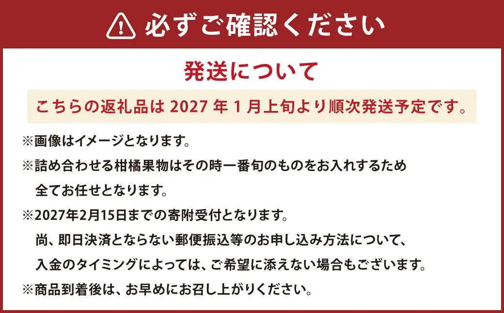 熊本県産 柑橘果物食べ比べセット 4種以上 【2027年1月上旬発送開始】 果物 フルーツ 柑橘 おまかせ 旬 旬のフルーツ