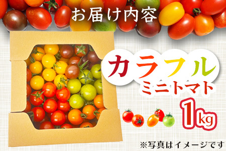 ＼農林水産大臣賞受賞／岩永さんちのトマト 【カラフルミニトマト5色 約1kg】【生産者直送】化学肥料不使用  有機栽培 手造り堆肥 甘い フルーティ お弁当 サラダ おやつ 健康 安心安全 ふるさと納税   B-823