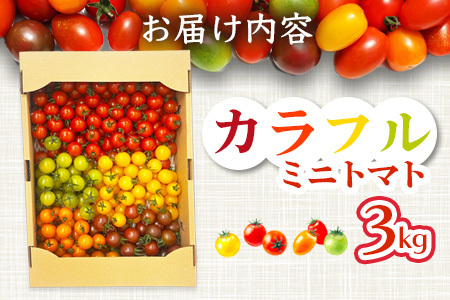 岩永さんちのカラフルミニトマト(5色) 約3kg |【農林水産大臣賞受賞】有機肥料・化学肥料不使用｜生産者直送 野菜 とまと サラダ おやつ お弁当 ふるさと佐賀県 鹿島市 【1月以降より順次発送予定】D-221