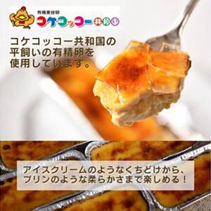 ＜外はパリっ、中は濃厚＞カタラーナ2個セット