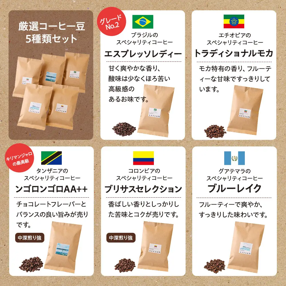 コーヒー ＜2ヵ月毎定期便＞厳選コーヒー豆100g×5種類セット全3回