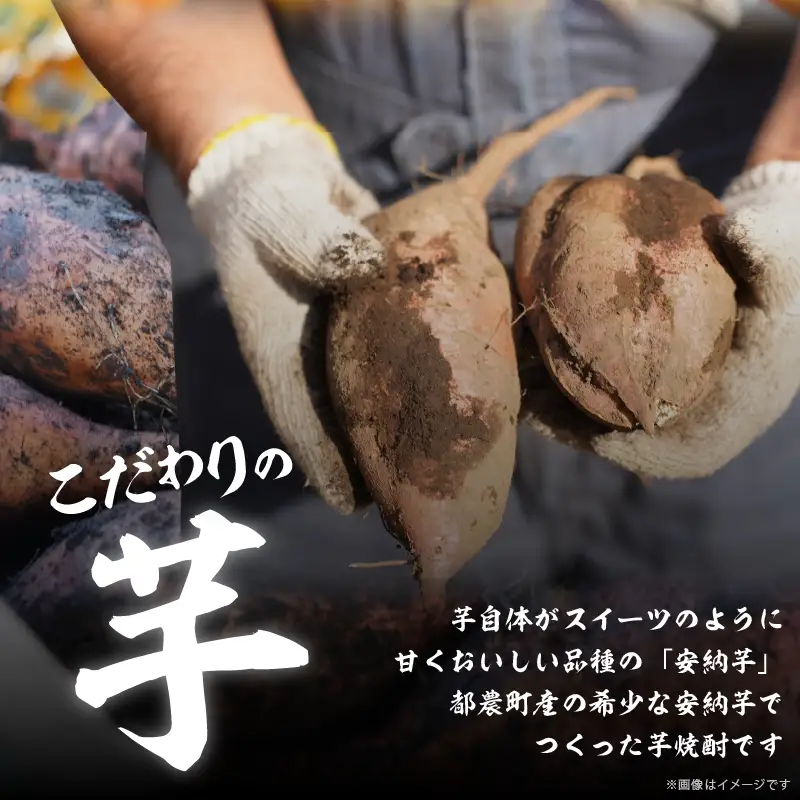 【2週間以内発送】幻の本格芋焼酎『尾鈴芋凰(おすずいもおう)』2本(25度) 酒 アルコール 飲料 国産_T016-0045