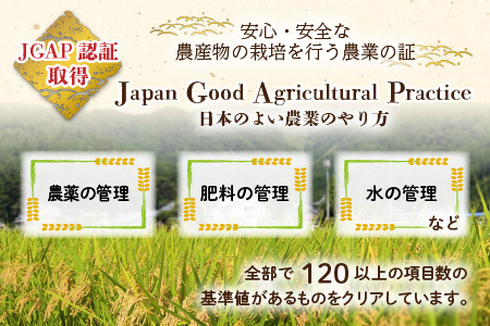 【先行予約】【令和7年産 新米】福井県大野市産 JGAP認証 コシヒカリ「あかね」5kg（2.5kg×2）小分け 