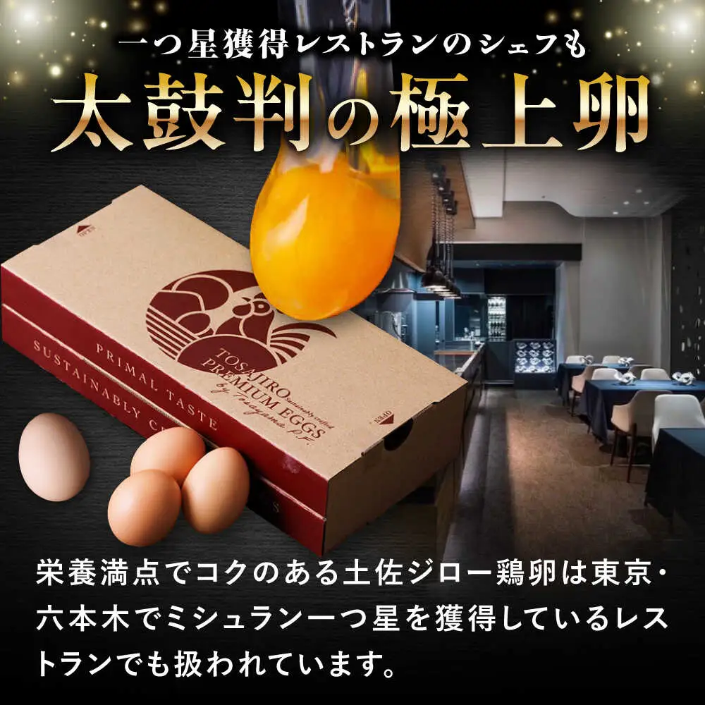 土佐ジロー鶏卵 20個 （10個×2パック）/ 高知 土佐 土佐ジロー 卵 たまご 玉子 鶏卵 卵焼き たまご焼き 玉子焼き 目玉焼き 生卵 卵かけご飯 TKG ギフト 贈り物 【とさやま養鶏場】[ATHB001]