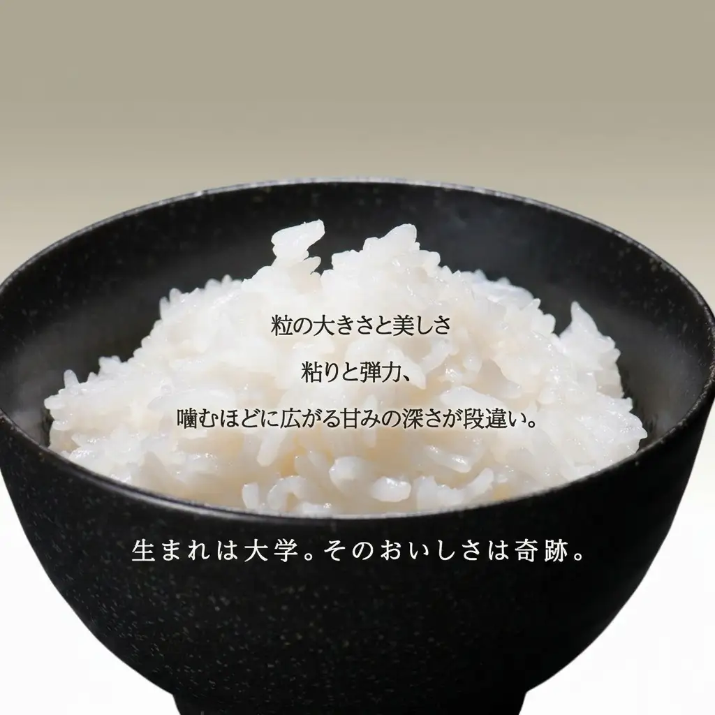 ゆうだい21 奇跡のお米 中郷産 ゆうだい21 5kg
