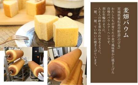 絶景バウムクーヘン 其の一 麦畑バウム （全粒粉ソフト） バウムクーヘン のびるバウム スイーツ お菓子 お土産 ギフト 野蒜 宮城県 東松島市 オンラインワンストップ 