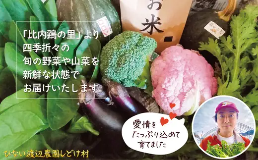 米野菜・山菜セット（5品目ほど）【115P3203】【ひない渡辺農園しどけ村】