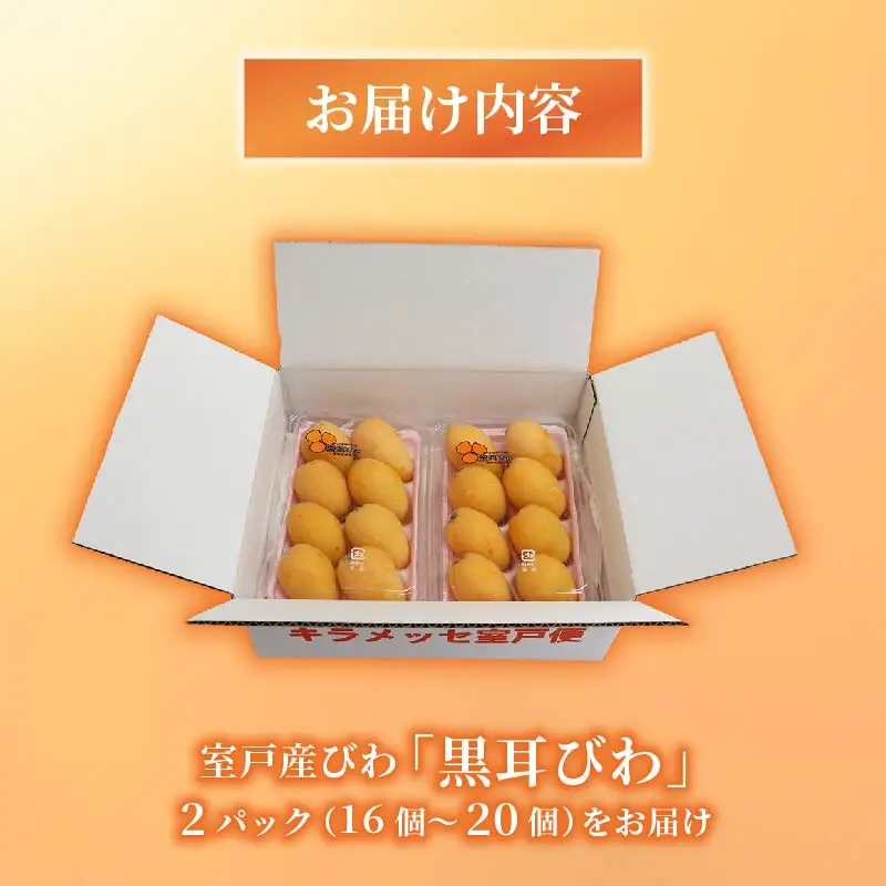 【先行予約】 びわ 16～20玉 【小粒中粒】 びわ rk037