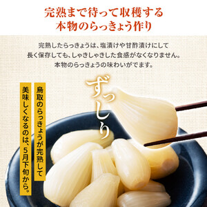 412.蜂蜜入りラッキョウ漬け　（ビン入り：400g×2本　袋入り：180g×2袋）　※2026年10月中旬～12月下旬頃に順次発送予定