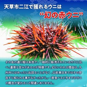 S157-006_天草二江の天然赤うに 100g 天草二江 天然 赤うに 美食家 北大路魯山人 認めた 幻 ウニ 殻 朱色 濃厚 甘み 特徴 九州外 滅多に出回らない 食べる ウニの概念 変わる 大粒 きれい 旨味 ご褒美 贈答用 お取り寄せ お取り寄せグルメ 熊本県 天草市 送料無料