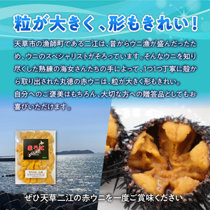 S157-007_天草二江の養殖赤うに 60g 天草 二江 養殖 赤うに 有明海 宝の海 魯山人 認めた 幻 ウニ 殻 朱色 濃厚 甘み 特徴 希少 ウニの概念 変わる 大粒 きれい 海産物 ご褒美 贈答品 贈答用 冷蔵 お取り寄せ お取り寄せグルメ 熊本県 天草市 送料無料