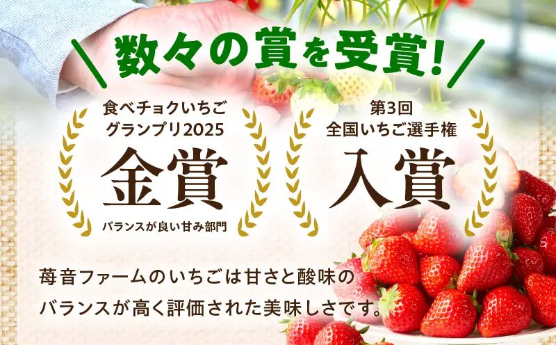 【先行予約】苺音ラグジュアリー～冬の大粒さぬきひめいちご～　約850g | スイーツ いちご イチゴ ストロベリー さぬきひめ さぬき姫 苺 冷蔵 フルーツ 旬 果物 香川県 デザート 青果物 おすすめ |_mk137-002