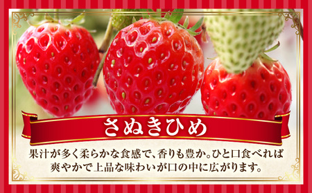季節の恵み2回定期便B | フルーツ 果物 定期便 果物定期便 フルーツ定期便 定期 旬 旬の果物 デザート スイーツ イチゴ デコポン 柑橘 柑橘系 贈り物 贈答 ギフト グルメ 人気 おすすめ ご褒美 お取り寄せ 旬の定期便 厳選 香川県 三木町 |_mk165-t002
