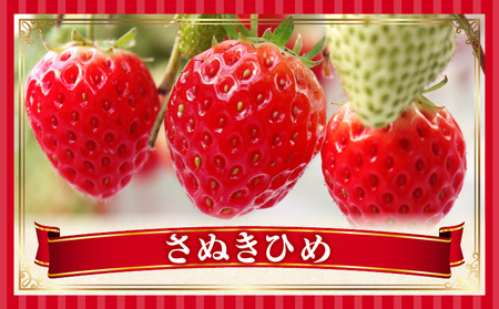 季節の恵み3回定期便B | 果物 フルーツ 青果 青果物 デザート スイーツ 果実 旬 季節 旬の果物 季節の果物 生鮮食品 生鮮 贈答 贈り物 ギフト プレゼント おすそ分け お祝い 内祝い ご褒美 人気 グルメ お取り寄せ 特産品 特産 国産 香川県 三木町 |_mk165-t017