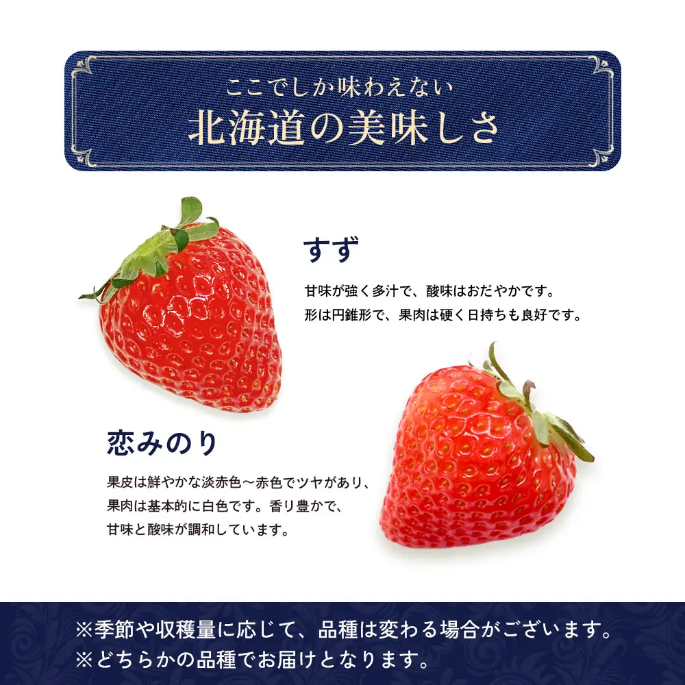 【2027年１月以降発送！】【北海道産】ゆきいちご（すずor恋みのり） ２Pセット 各250g×２ 計500g | 苺 いちご 一季成りイチゴ 希少 ギフト お取り寄せ ふるさと納税 北海道 中標津【5900502】