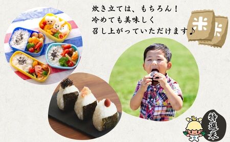 特別栽培 宇陀米ひとめぼれ 5kg【特選米】令和6年産／白米 米 お米 ひとめぼれ おいしい 奈良県 宇陀市 宇陀米ブランド化協議会 類農園 ふるさと納税