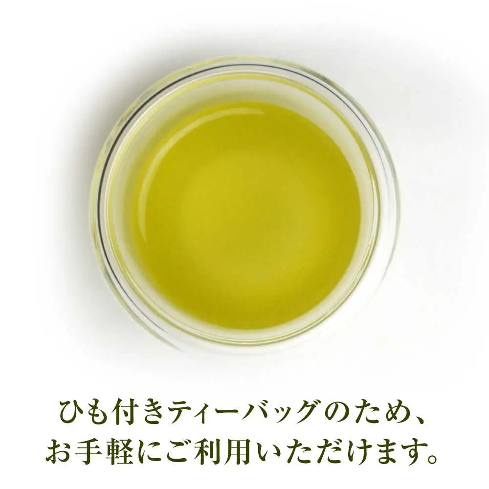 【3回定期便】煎茶 ティーバッグ 5袋 / 菊之園[AWAG005]煎茶
