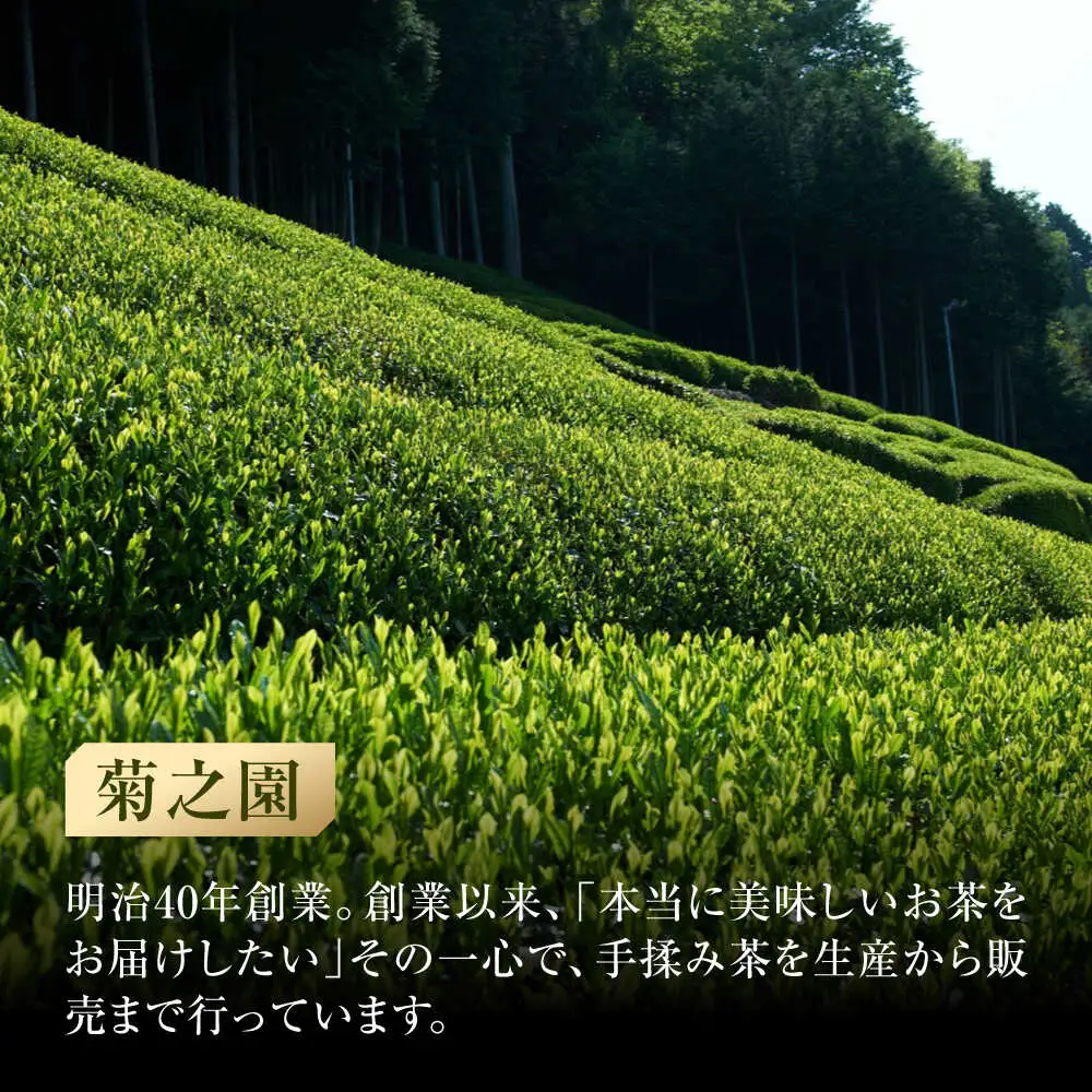 【6回定期便】本格 高級茶セット 100g×3袋 化粧箱入り / 菊之園[AWAG010]お茶ギフト