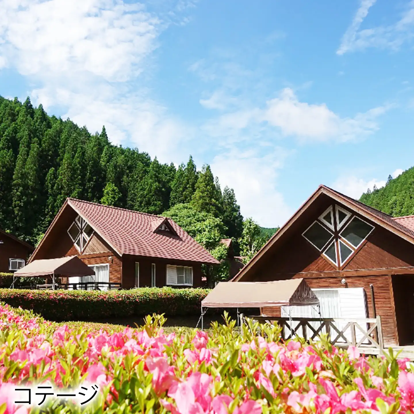 クオーレふれあいの里 利用券（6，000円分）白川町 / 美濃白川クオーレの里[AWAP002]
