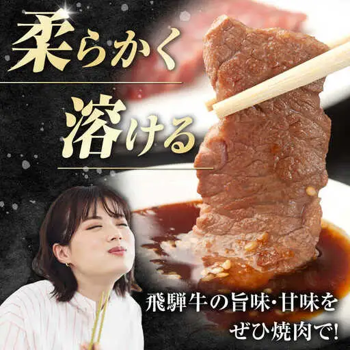 飛騨牛 焼肉用赤身 600g / 浅井商店[AWBJ001]飛騨牛