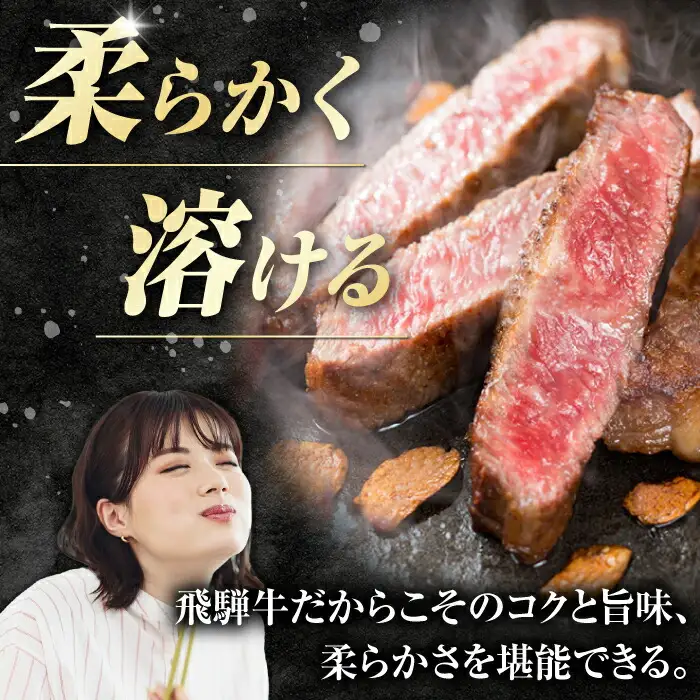 飛騨牛 ステーキ用計500g / 浅井商店[AWBJ007] 飛騨牛