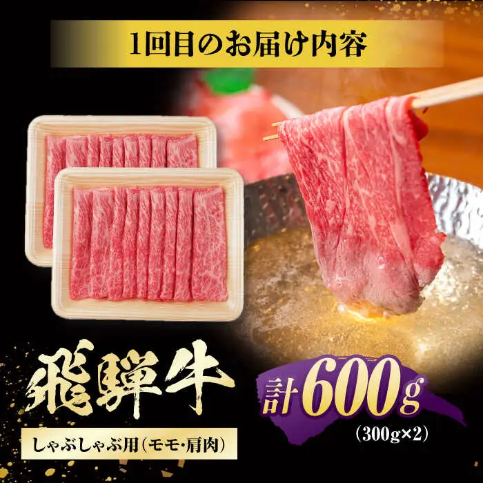 【3回定期便】 飛騨牛 モモ・肩肉 毎月600g / / 浅井商店[AWBJ008]