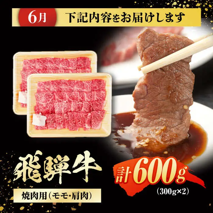 【4回定期便】 飛騨牛 モモ・肩肉 リブロースステーキ 計2.3kg / / 浅井商店[AWBJ010]