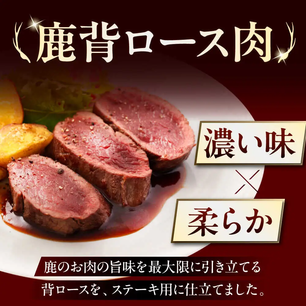 【全6回定期便】鹿肉 背ロース 2枚  ジビエ 赤身 冷凍配送 [AJAO069]
