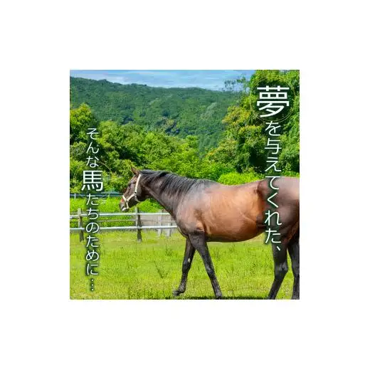 【 支援 】 支援引退馬2千円
