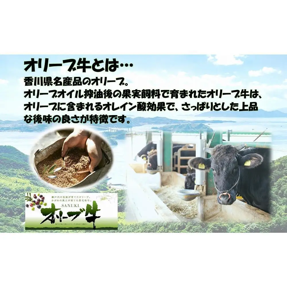 オリーブ牛　切り落とし　1500ｇ