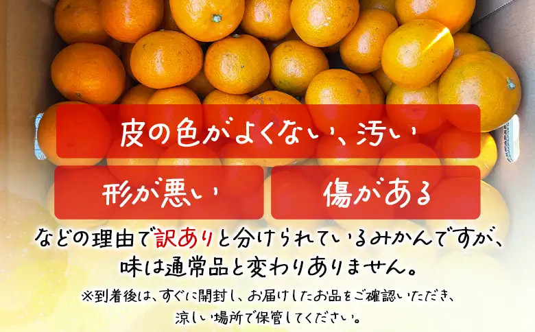 訳あり 山北みかん 5kg みかん th-0031