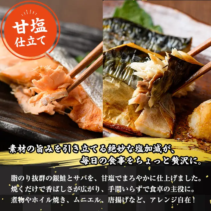 ＜訳あり＞ 甘塩 銀鮭と骨取りサバの切り落としセット(合計1kg・500g×各1袋) 小分け 魚【KI-25】【イチマル食品加工】