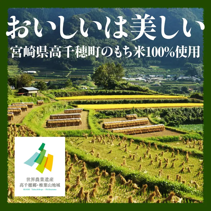 高千穂町産もち米100％使用！山菜おこわ（冷凍） おこわ もち米 モチ米 しいたけ 椎茸 山菜 醤油 焼きおにぎり おにぎり もちもち ごはん 冷凍 お弁当 惣菜 宮崎県 高千穂町 _Tk045-001