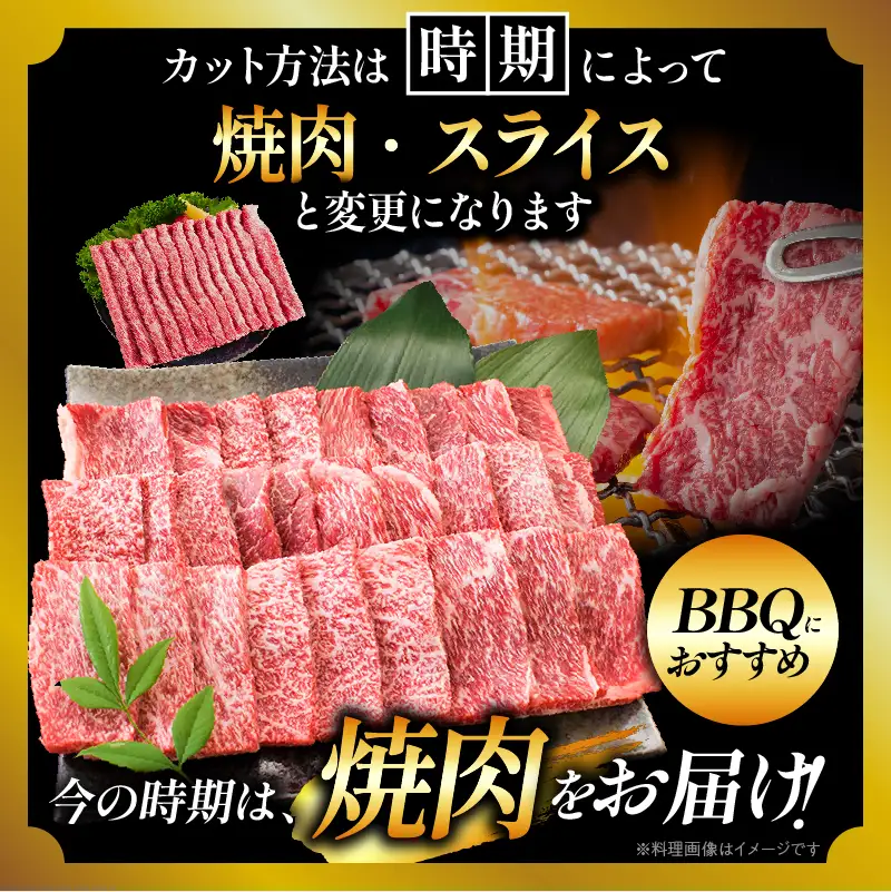 【11月配送】【畜産農家応援】数量限定 厳選 宮崎牛 赤身 焼肉 計800g 牛肉 国産_C168-26-11