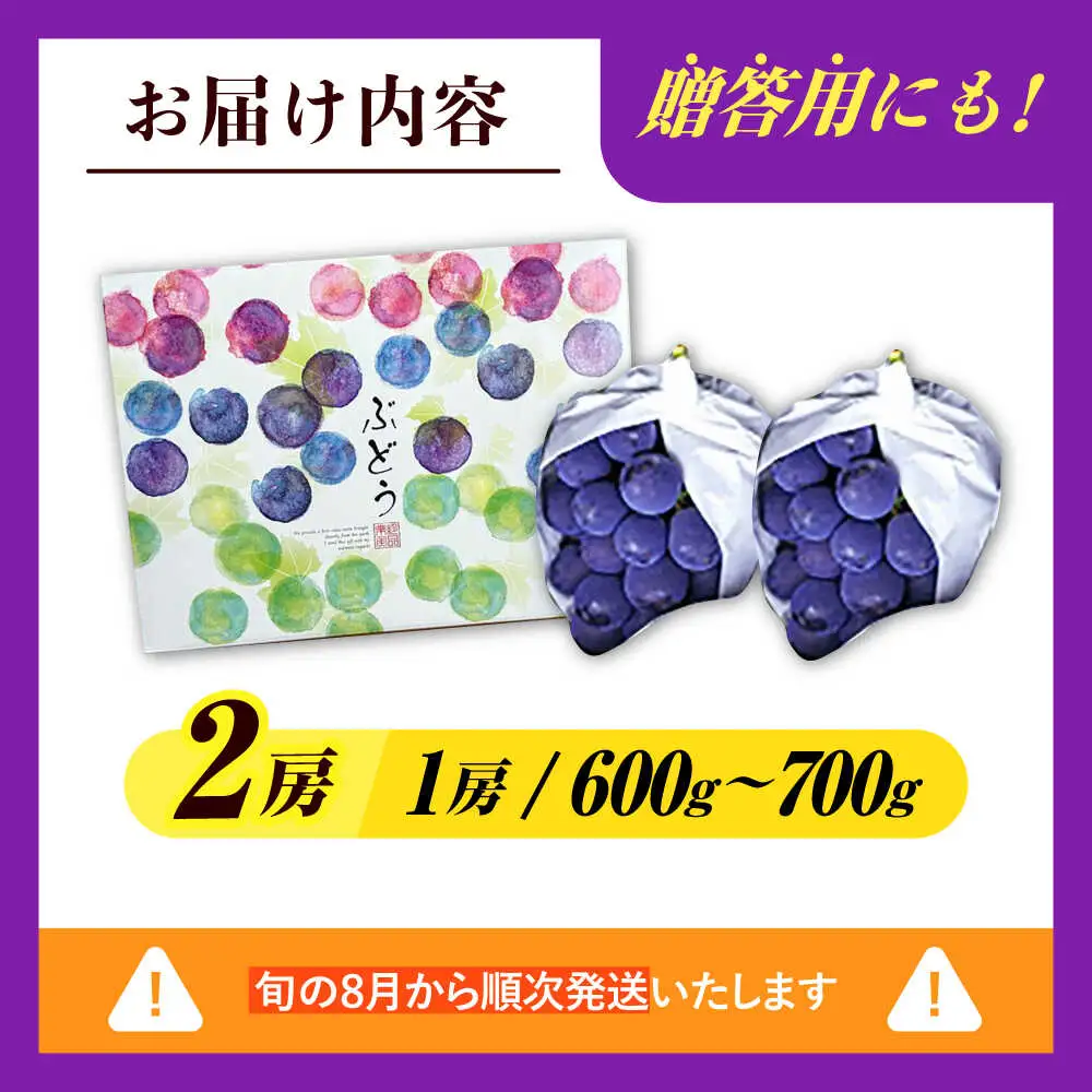 種なし ピオーネ 2房(計1.2～1.4kg) [AREW004] ピオーネ 黒ブドウ